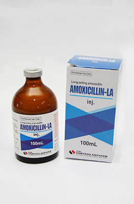 Amoxicillin - LA inj