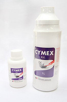 Cymex E.C