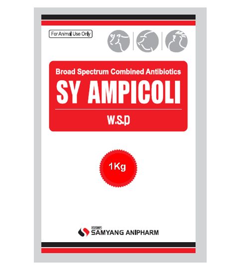 SY AMPICOLI w.s.p