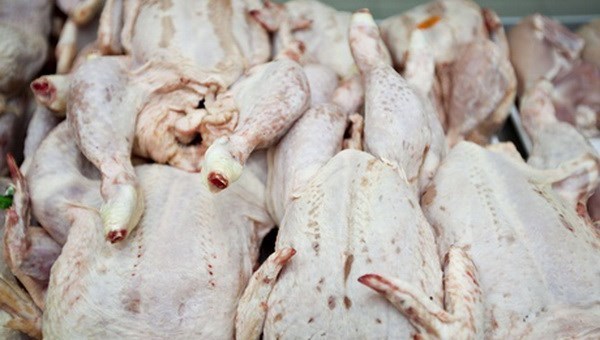 Chinese chicken imports in Vietnam declared illegal