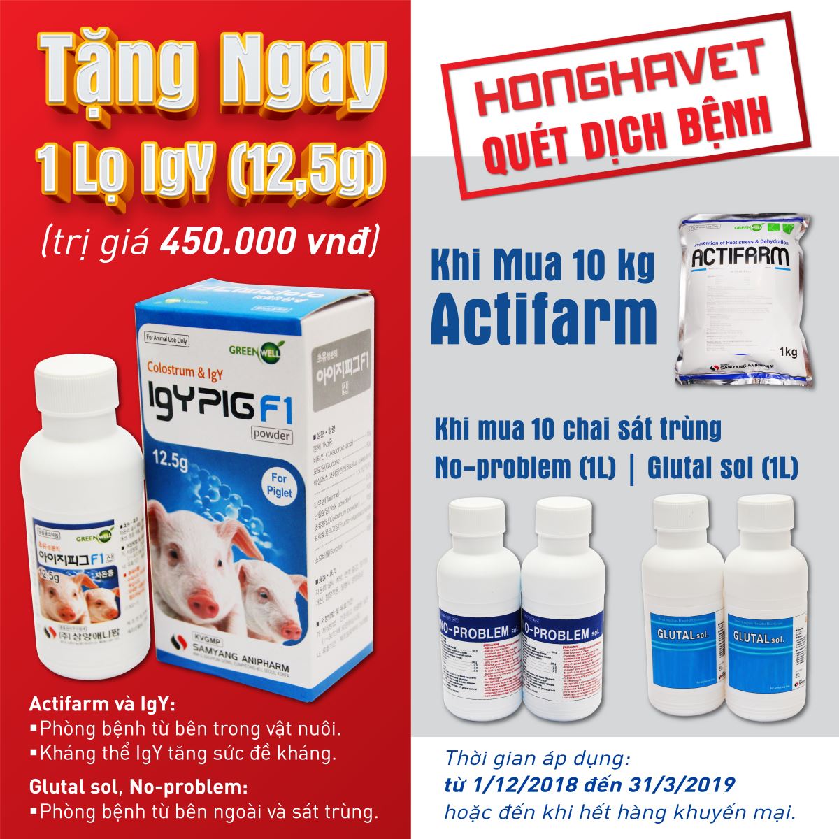 HONGHAVET - QUÉT DỊCH BỆNH