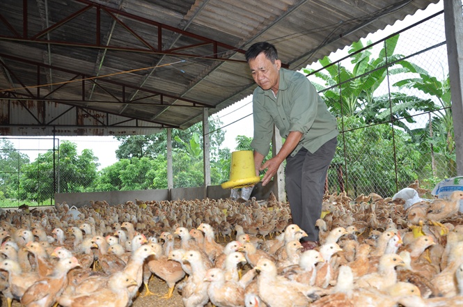 Chủ động phòng trừ không để dịch bệnh lây lan